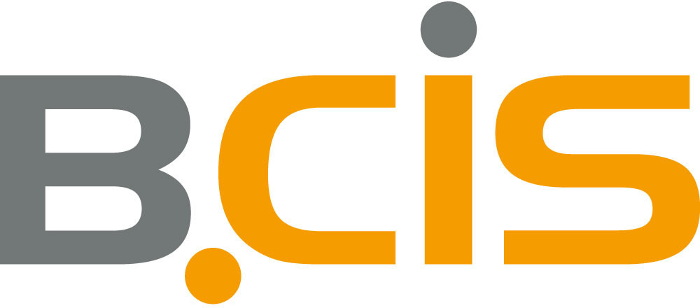 BCIS IT-Systeme GmbH & Co. KG