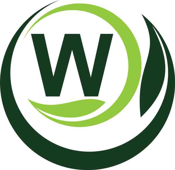 Wertmüller